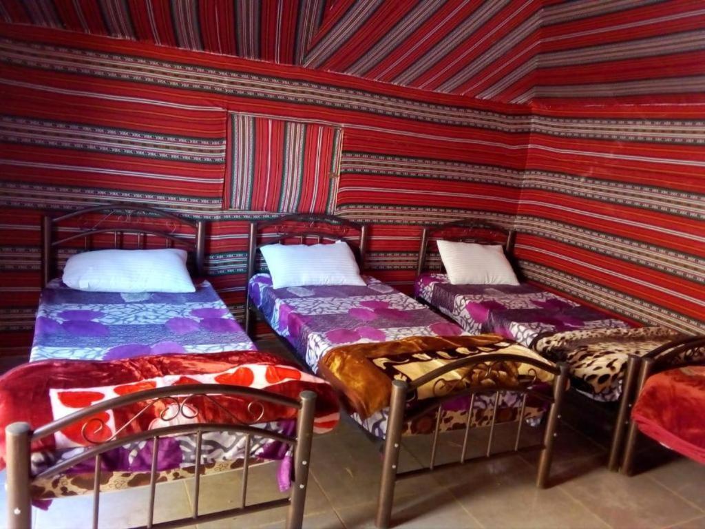 Wadi Rum Moon Camp Ngoại thất bức ảnh