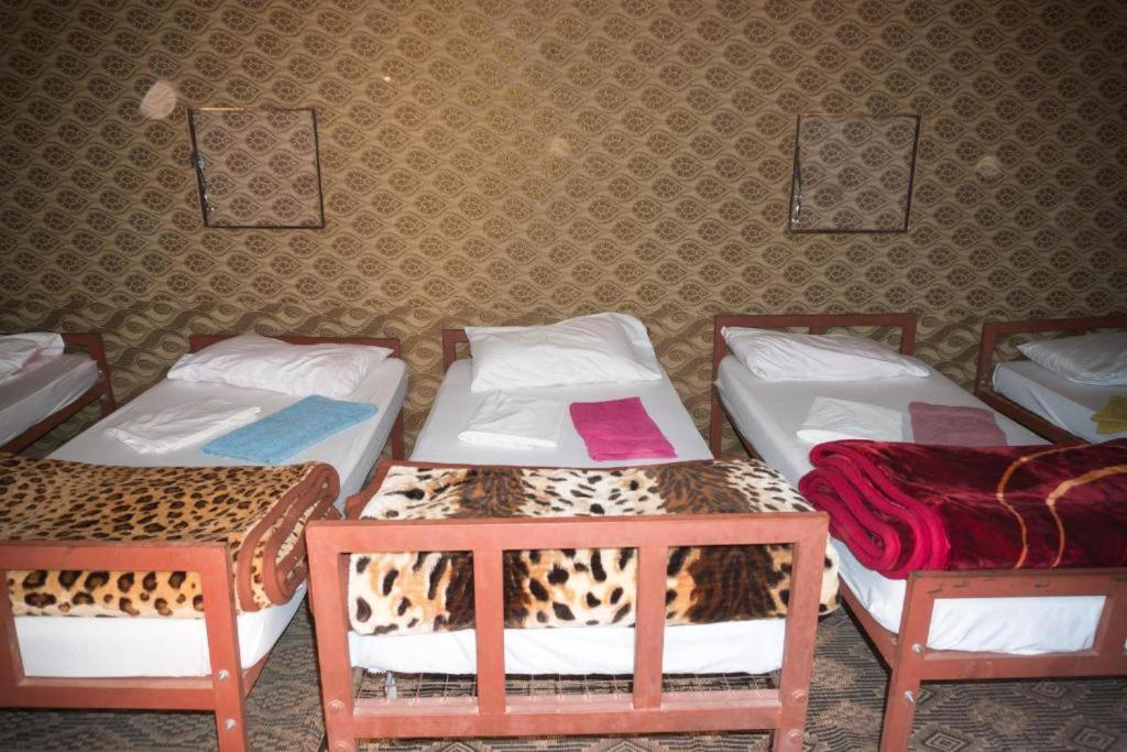 Wadi Rum Moon Camp Ngoại thất bức ảnh
