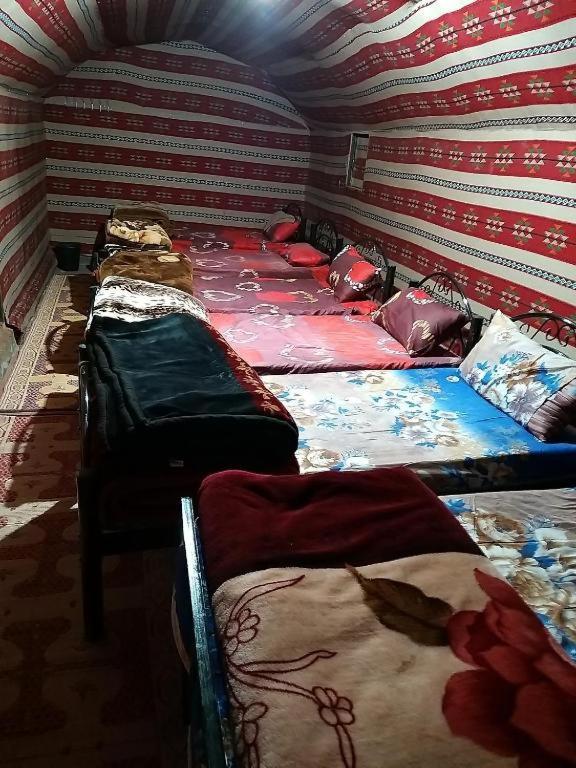 Wadi Rum Moon Camp Ngoại thất bức ảnh