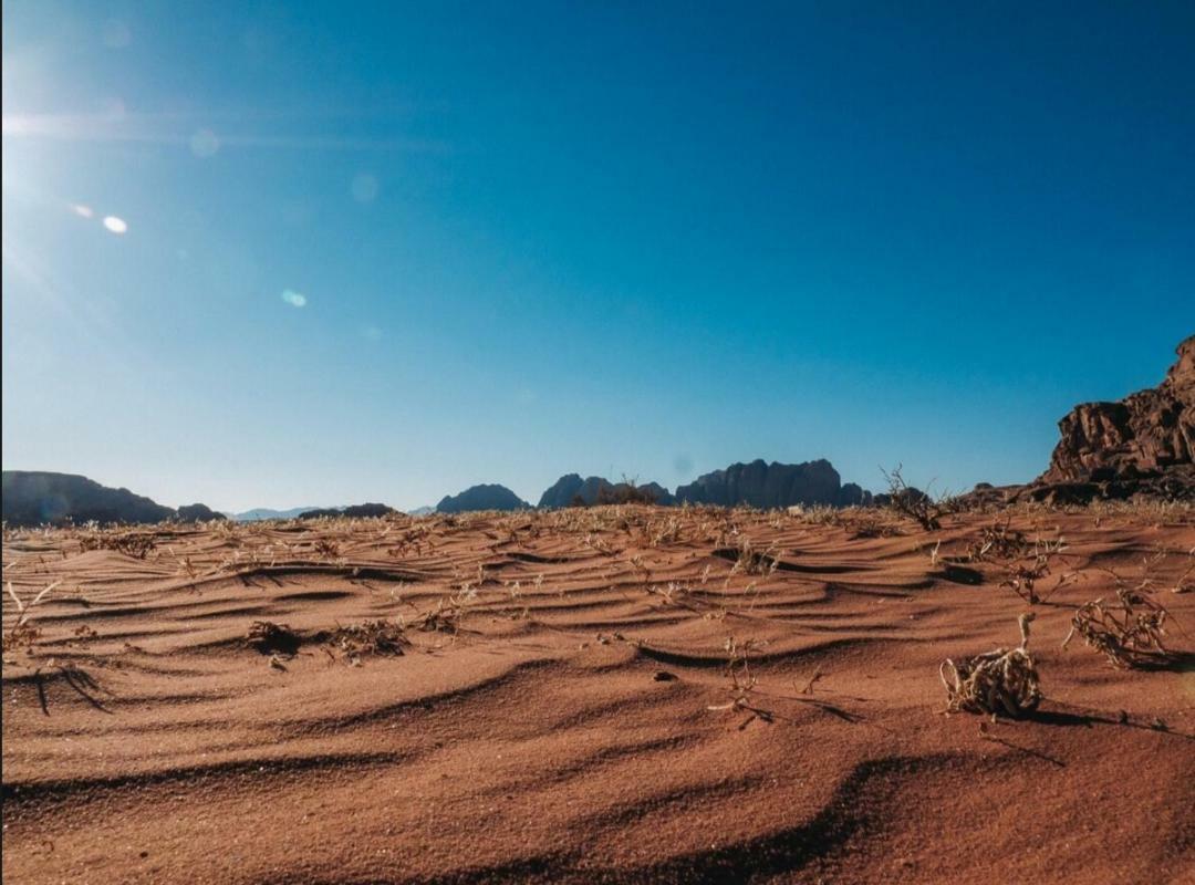 Wadi Rum Moon Camp Ngoại thất bức ảnh