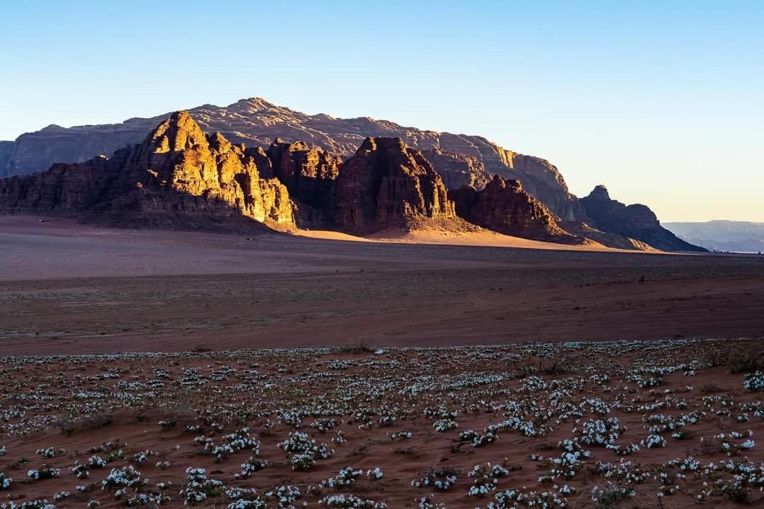 Wadi Rum Moon Camp Ngoại thất bức ảnh